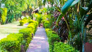 Corbett Tiger Huts Resort